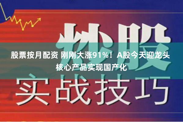 股票按月配资 刚刚大涨91%！A股今天迎龙头 核心产品实现国产化